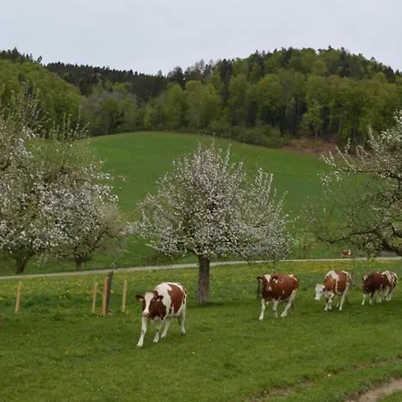 Bauernhof Baettwil * Burgdorf