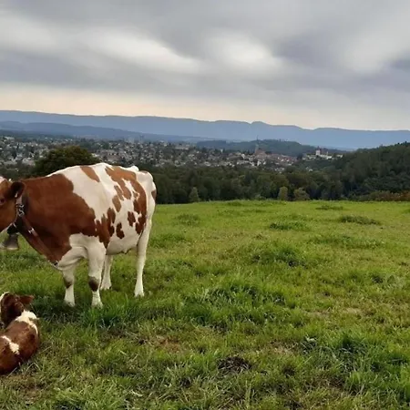 Lejlighed Bauernhof Baettwil