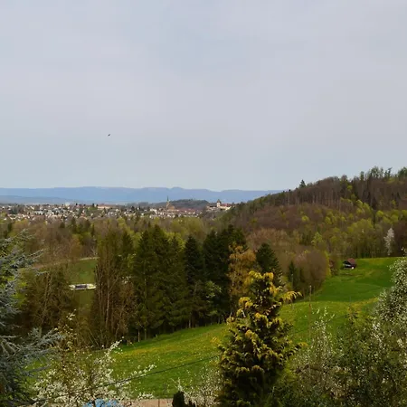 Bauernhof Baettwil Lejlighed *